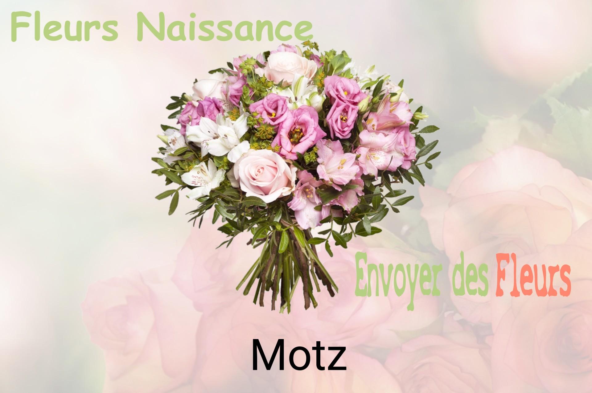 Bouquet de fleurs de naissance livré à Motz